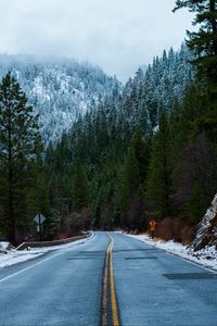 Preview wallpaper forest, road, snow, winter