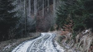Preview wallpaper forest, road, snow, winter, nature