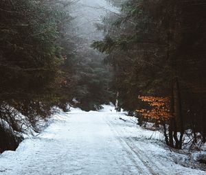 Preview wallpaper forest, road, snow, winter, fog