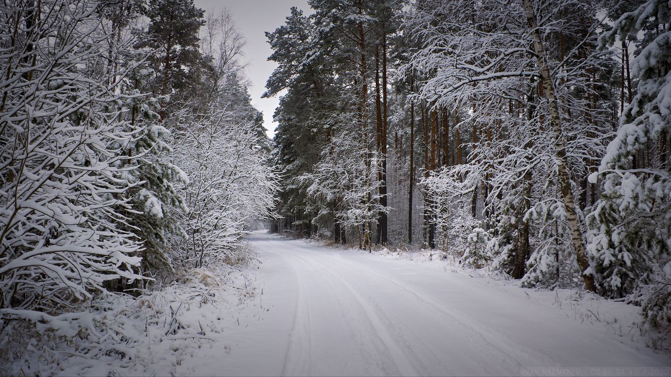 Download Wallpaper 1366x768 Forest Road Snow Winter Snowy Tablet