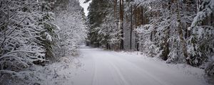 Preview wallpaper forest, road, snow, winter, snowy