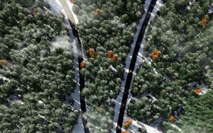 Preview wallpaper forest, road, snow, aerial view