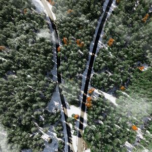 Preview wallpaper forest, road, snow, aerial view