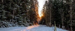 Preview wallpaper forest, road, snow, sunrise, nature