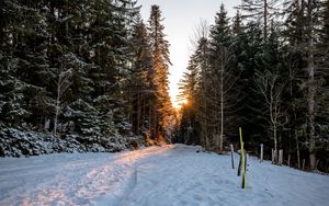 Preview wallpaper forest, road, snow, sunrise, nature