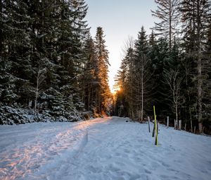 Preview wallpaper forest, road, snow, sunrise, nature