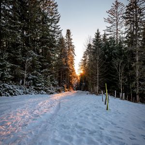 Preview wallpaper forest, road, snow, sunrise, nature