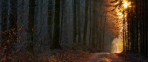 Preview wallpaper forest, road, sunset, nature
