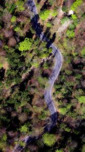 Preview wallpaper forest, road, trees, winding