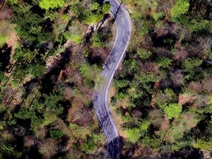 Preview wallpaper forest, road, trees, winding