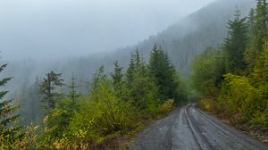Preview wallpaper forest, road, trees, fog