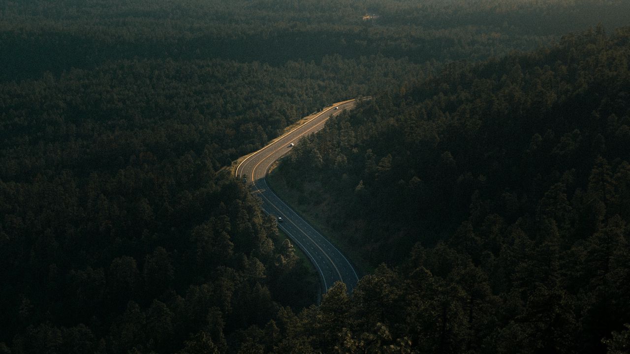 Wallpaper forest, road, view from above, trees, height