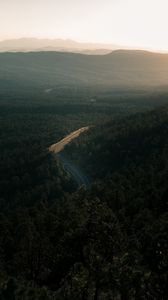 Preview wallpaper forest, road, view from above, trees, height