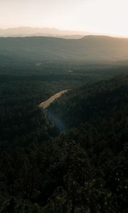 Preview wallpaper forest, road, view from above, trees, height