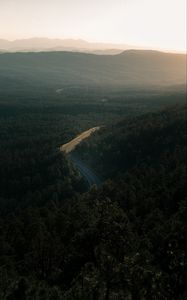 Preview wallpaper forest, road, view from above, trees, height