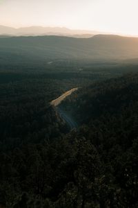 Preview wallpaper forest, road, view from above, trees, height