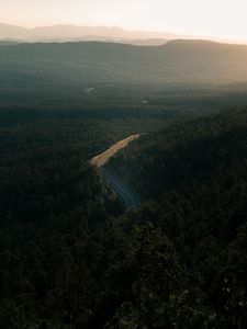 Preview wallpaper forest, road, view from above, trees, height