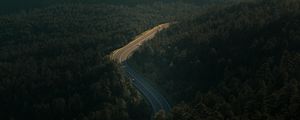 Preview wallpaper forest, road, view from above, trees, height