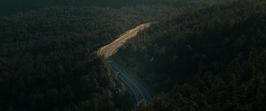 Preview wallpaper forest, road, view from above, trees, height