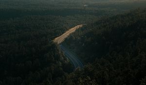 Preview wallpaper forest, road, view from above, trees, height