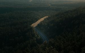 Preview wallpaper forest, road, view from above, trees, height