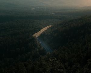 Preview wallpaper forest, road, view from above, trees, height