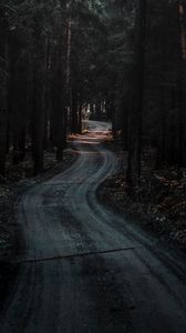 Preview wallpaper forest, road, winding, dark, nature