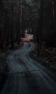 Preview wallpaper forest, road, winding, dark, nature