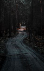 Preview wallpaper forest, road, winding, dark, nature