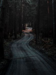 Preview wallpaper forest, road, winding, dark, nature