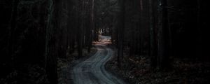 Preview wallpaper forest, road, winding, dark, nature