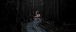 Preview wallpaper forest, road, winding, dark, nature