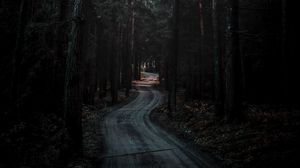 Preview wallpaper forest, road, winding, dark, nature