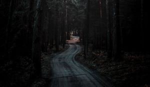 Preview wallpaper forest, road, winding, dark, nature