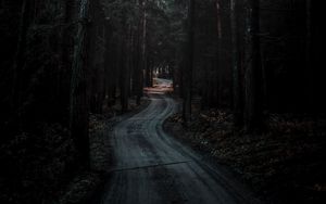 Preview wallpaper forest, road, winding, dark, nature