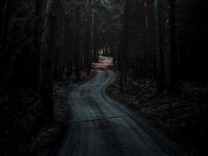 Preview wallpaper forest, road, winding, dark, nature