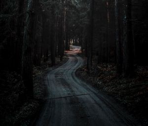 Preview wallpaper forest, road, winding, dark, nature