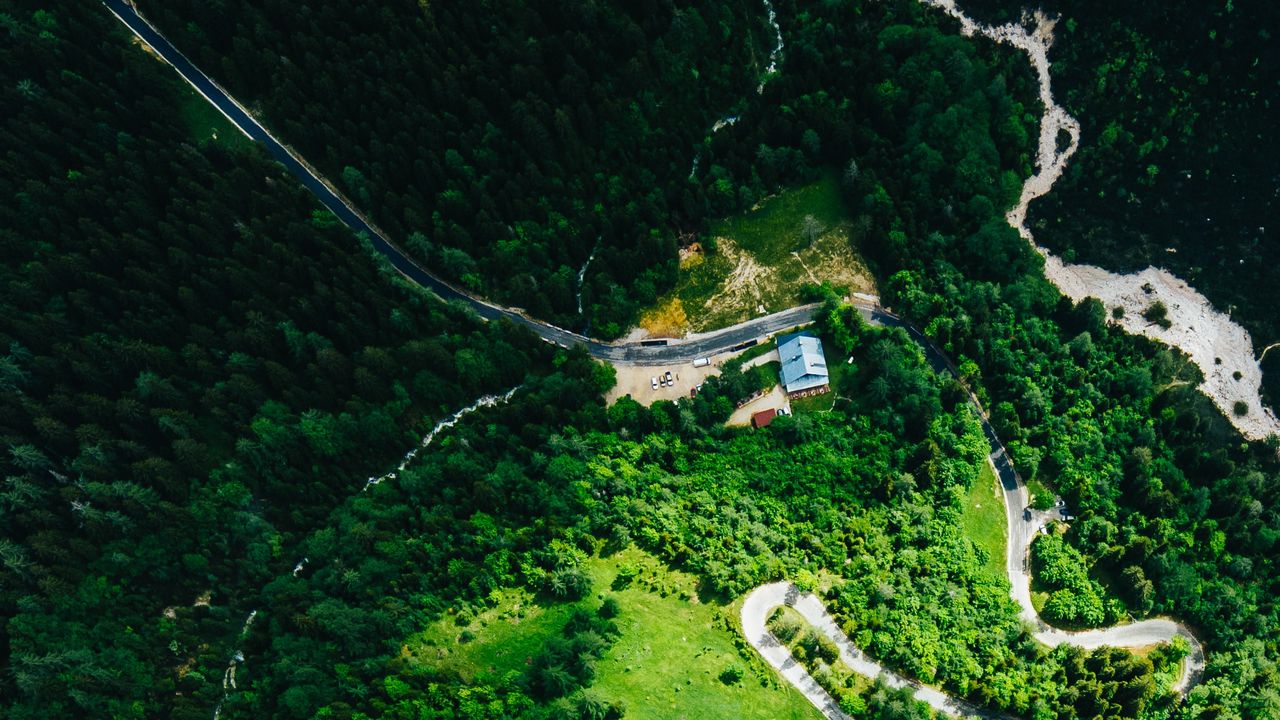 Wallpaper forest, road, winding, aerial view