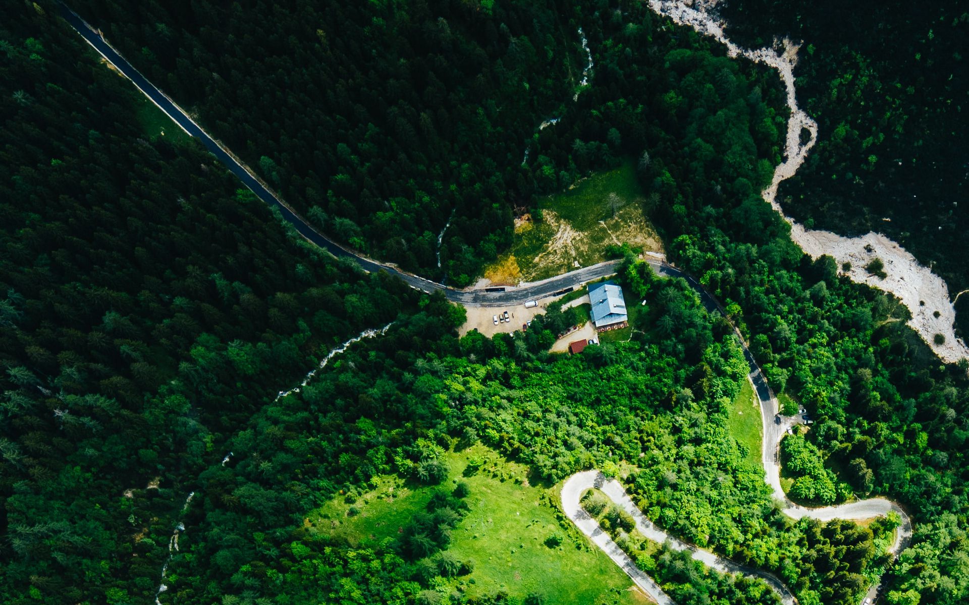Download Wallpaper 1920x1200 Forest Road Winding Aerial View 