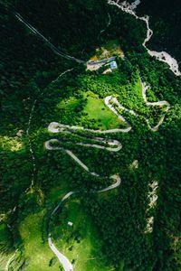 Preview wallpaper forest, road, winding, aerial view