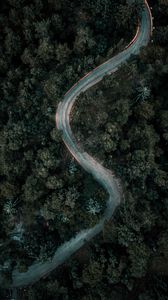 Preview wallpaper forest, road, winding, aerial view, nature