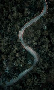 Preview wallpaper forest, road, winding, aerial view, nature