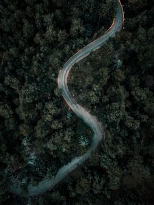 Preview wallpaper forest, road, winding, aerial view, nature