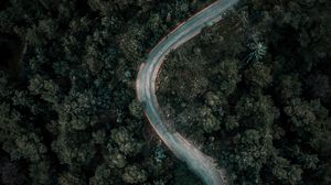 Preview wallpaper forest, road, winding, aerial view, nature