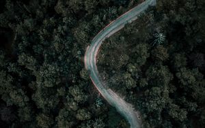 Preview wallpaper forest, road, winding, aerial view, nature