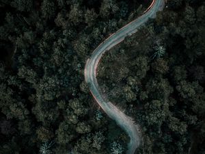 Preview wallpaper forest, road, winding, aerial view, nature