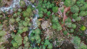 Preview wallpaper forest, rocks, aerial view, river, nature