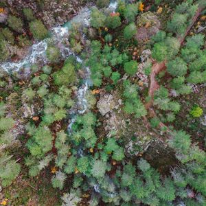 Preview wallpaper forest, rocks, aerial view, river, nature