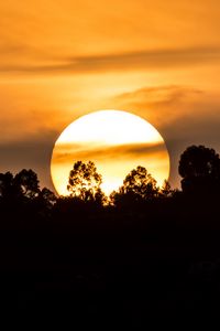 Preview wallpaper forest, silhouette, sun, sunset, clouds, nature