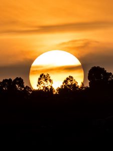 Preview wallpaper forest, silhouette, sun, sunset, clouds, nature